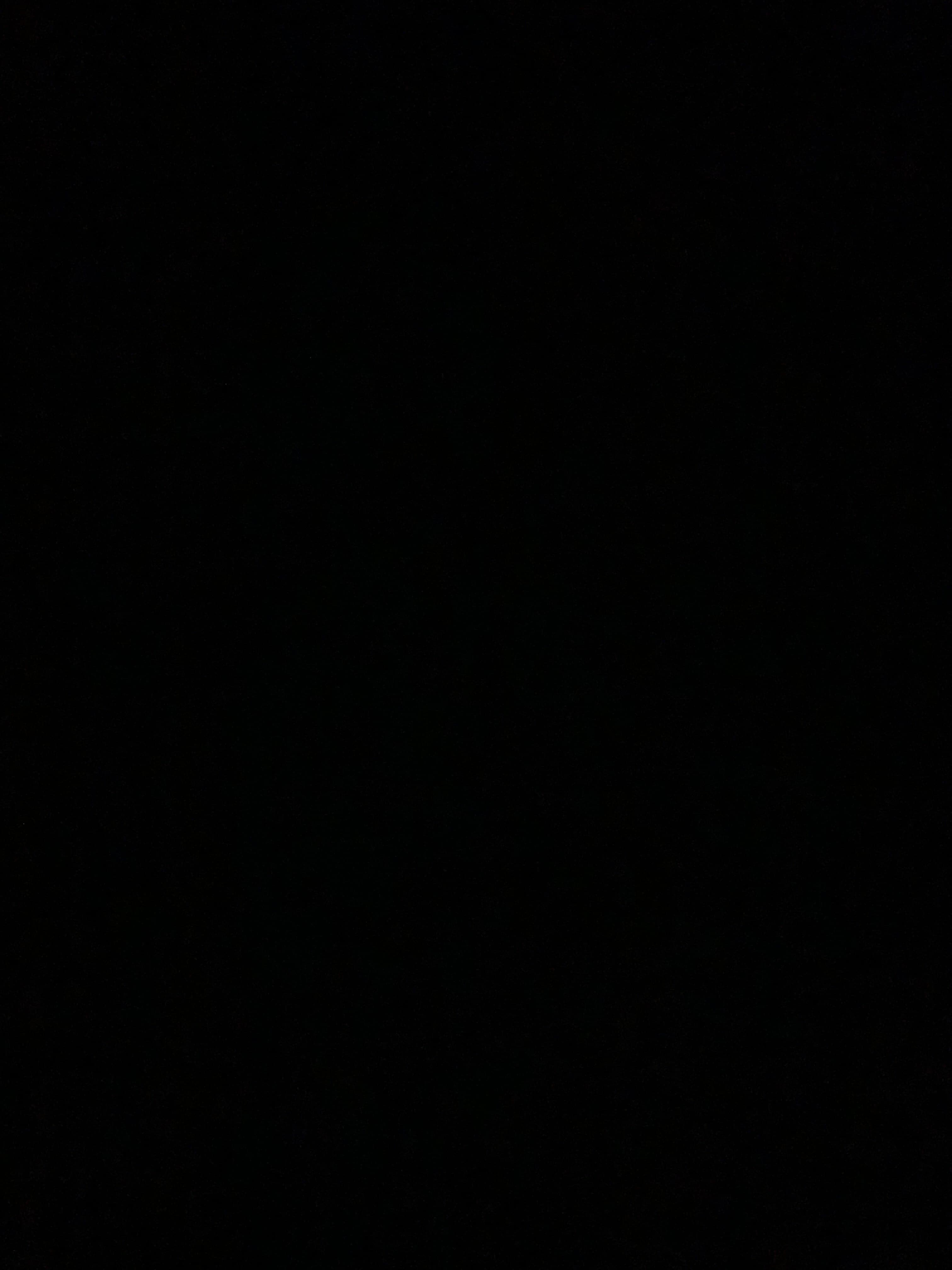 Freelance Photography Services