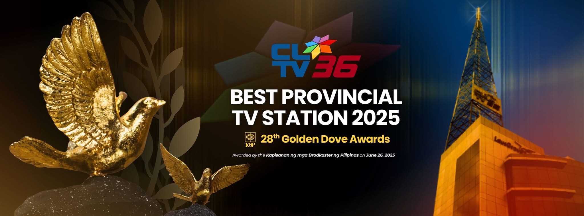 Video and Streaming Services