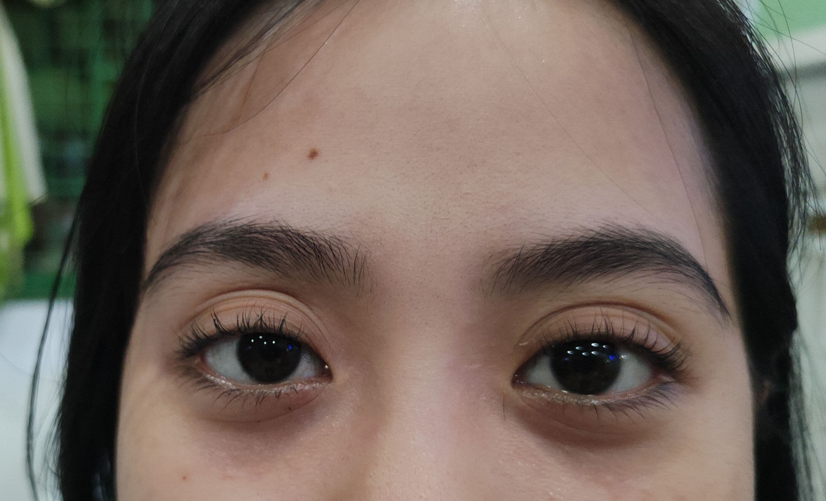 Lash Lifting Services