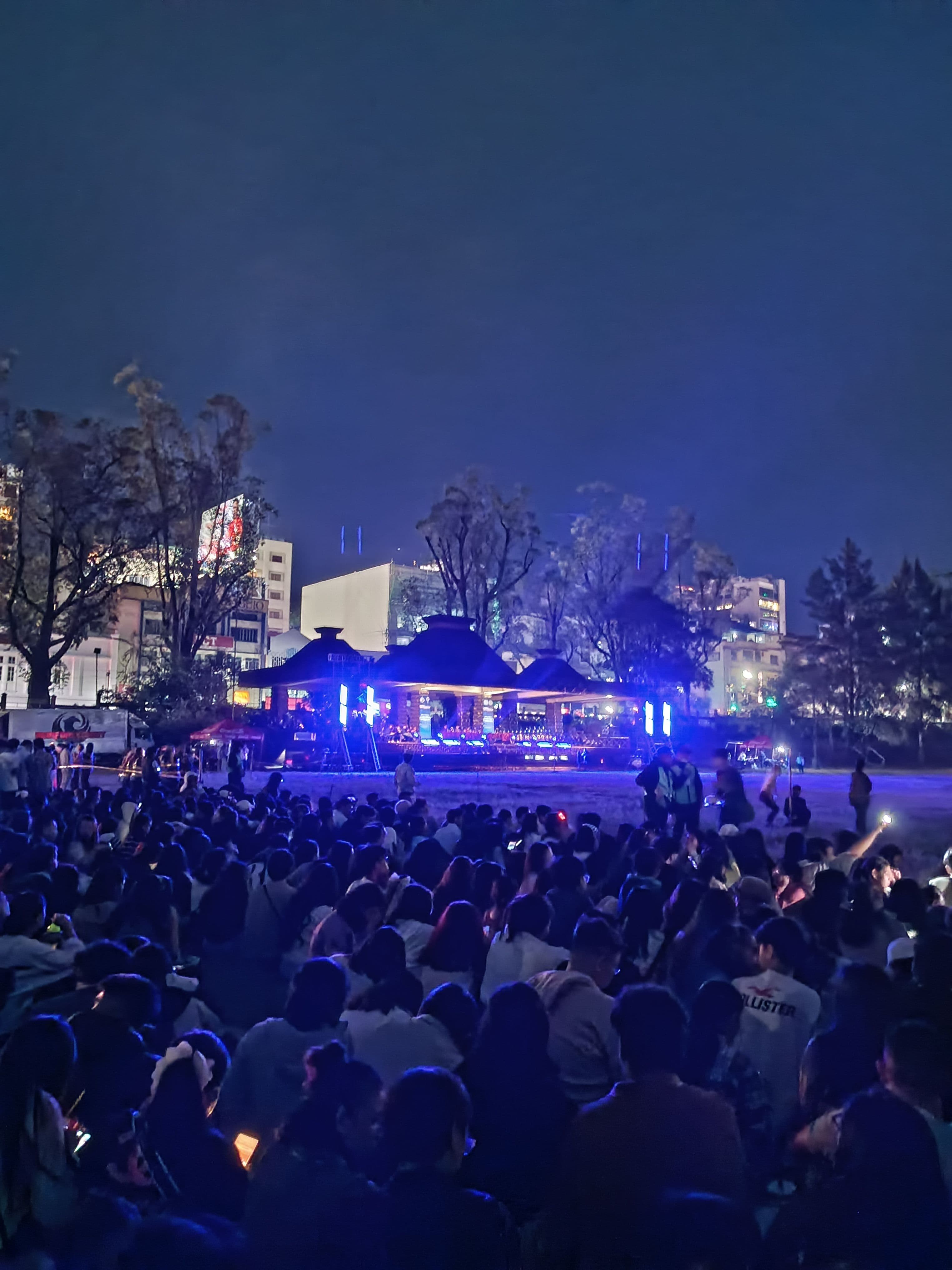 Professional Video Editing Services