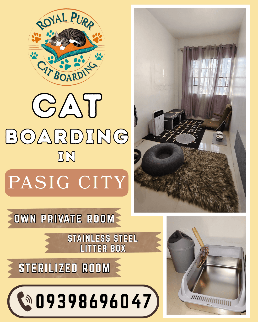 Cat Boarding in Pasig City