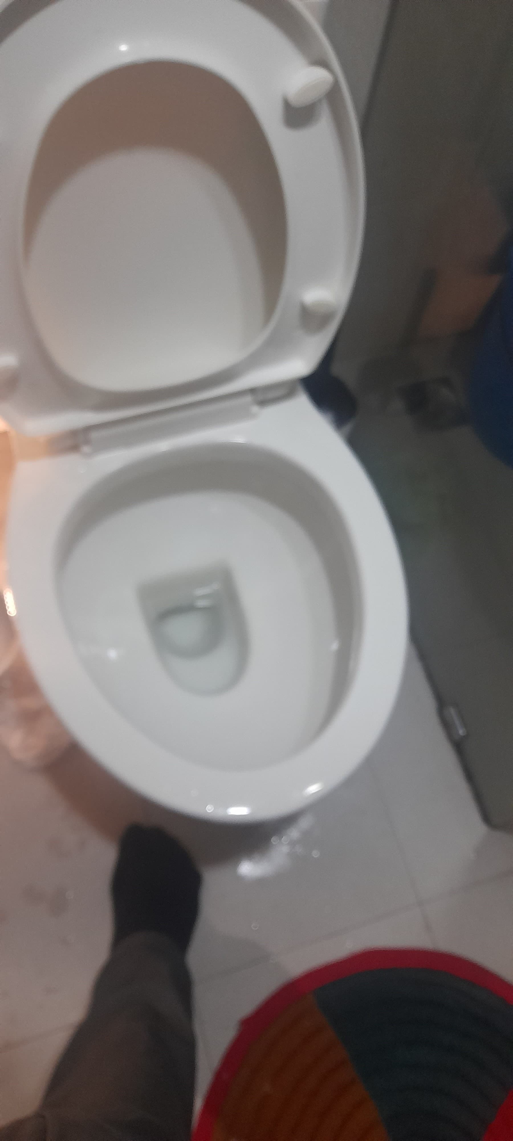 Toilet bowl Installation, replacement