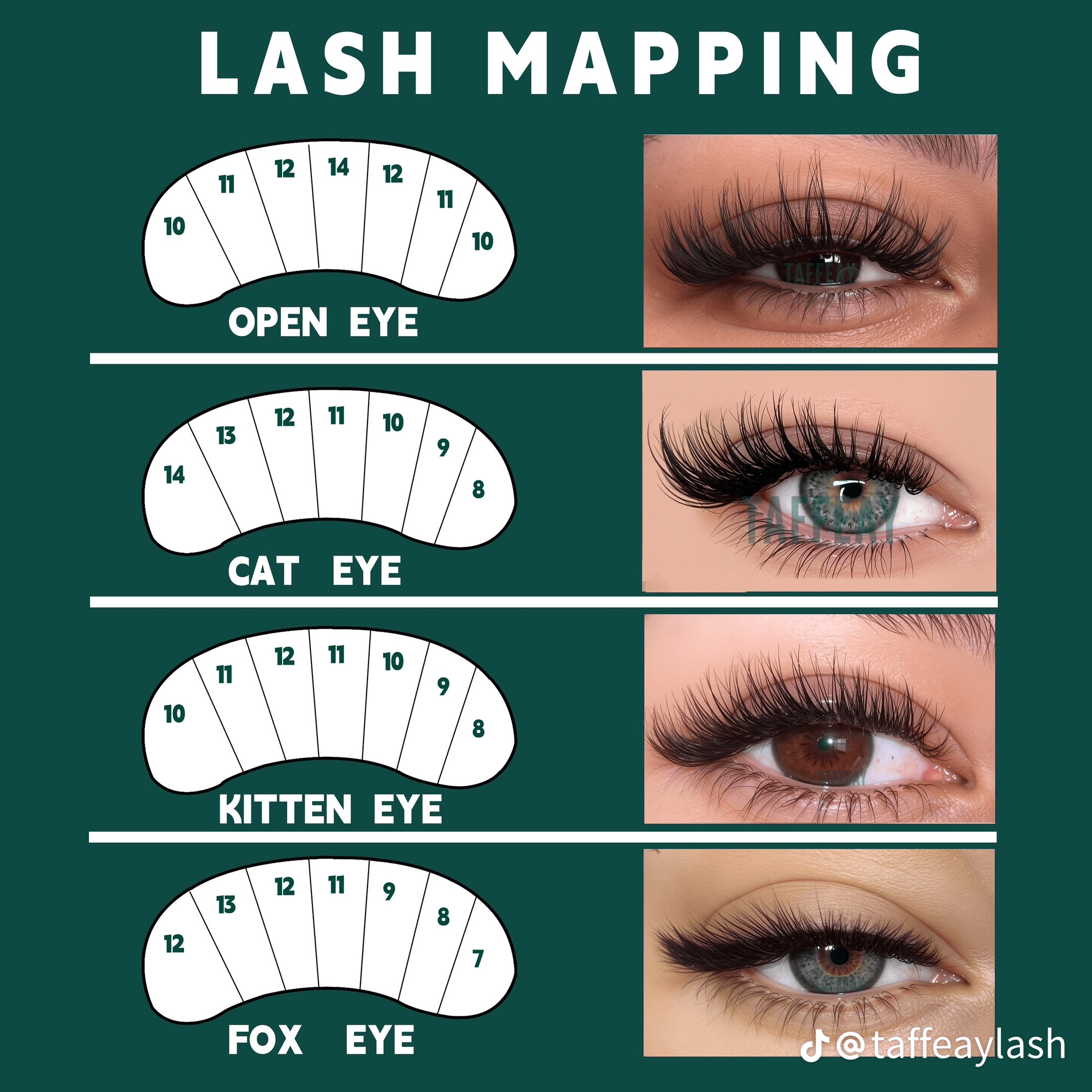 Professional Lash Technician Services